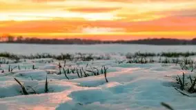 Wschód słońca w okolicach Sztynortu, zima 2021 - zdjęcie 17