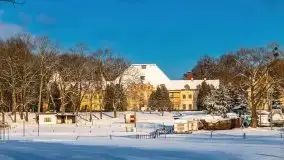 Port w Sztynorcie w zimowej scenerii, styczeń 2021 r. - zdjęcie 68