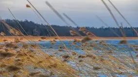 Bojery na jeziorze Dargin 2021 cz. 2 - zdjęcie 54