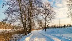 Zimowe Wydminy przed zachodem słońca, styczeń 2021 r. - zdjęcie 7