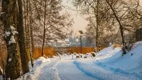 Zimowe Wydminy przed zachodem słońca, styczeń 2021 r. - zdjęcie 71