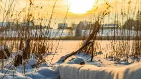 Zimowe Wydminy przed zachodem słońca, styczeń 2021 r. - zdjęcie 23