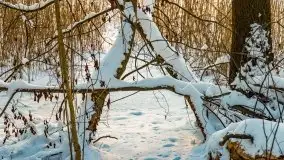 Zimowe Wydminy przed zachodem słońca, styczeń 2021 r. - zdjęcie 45