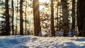 Kolejna dawka pięknej, mazurskiej zimy przy jez. Dargin - zdjęcie 6