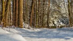 Kolejna dawka pięknej, mazurskiej zimy przy jez. Dargin - zdjęcie 39