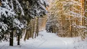 Kolejna dawka pięknej, mazurskiej zimy przy jez. Dargin - zdjęcie 37