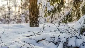 Kolejna dawka pięknej, mazurskiej zimy przy jez. Dargin - zdjęcie 15