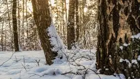 Kolejna dawka pięknej, mazurskiej zimy przy jez. Dargin - zdjęcie 43