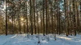 Kolejna dawka pięknej, mazurskiej zimy przy jez. Dargin - zdjęcie 21