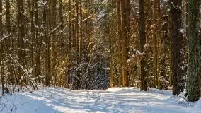 Kolejna dawka pięknej, mazurskiej zimy przy jez. Dargin - zdjęcie 12