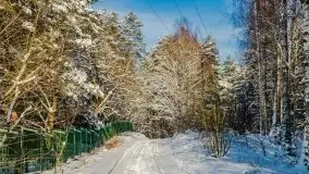 Kolejna dawka pięknej, mazurskiej zimy przy jez. Dargin - zdjęcie 5