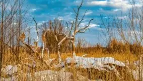 Zachód słońca w okolicach zimowych Kruklanek - zdjęcie 23