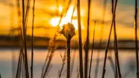 Zachód słońca w okolicach zimowych Kruklanek - zdjęcie 65