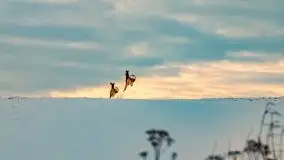 Zachód słońca w okolicach zimowych Kruklanek - zdjęcie 68