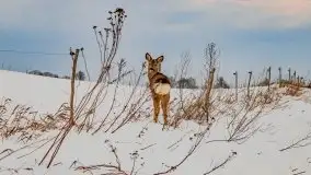 Zachód słońca w okolicach zimowych Kruklanek - zdjęcie 73