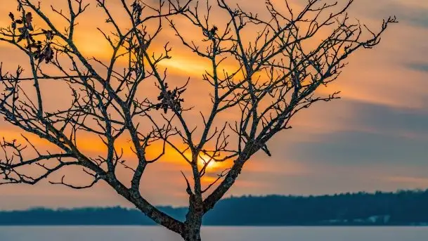 Zachód słońca w Giżycku nad jeziorem Niegocin 02.2021 - zdjęcie 3