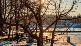 Port Ognisty Ptak w zimowej scenerii, 01.2021 r. - zdjęcie 23