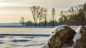 Trwa remont portu Tabat, ma być gotowy na sezon 2021 - zdjęcie 18