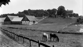 Przedwojenne zdjęcia Świętej Lipki (Heiligelinde) - zdjęcie 7