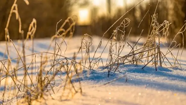 Mikołajki w zimowej scenerii, luty 2021 r. - zdjęcie 5