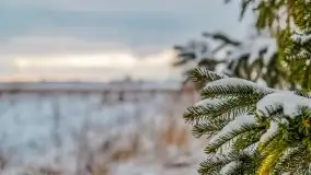 Okolice Kleszczewa w zimowej scenerii, styczeń 2021 - zdjęcie 22