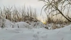 Okolice Kleszczewa w zimowej scenerii, styczeń 2021 - zdjęcie 46