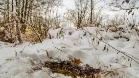 Okolice Kleszczewa w zimowej scenerii, styczeń 2021 - zdjęcie 25