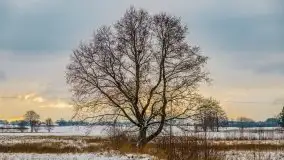 Okolice Kleszczewa w zimowej scenerii, styczeń 2021 - zdjęcie 36