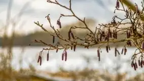 Okolice Kleszczewa w zimowej scenerii, styczeń 2021 - zdjęcie 56