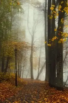 Miłośnicy Mazur - piękno regionu uchwycone przez Justynę Słuchocką - zdjęcie 26