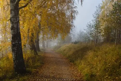 Miłośnicy Mazur - piękno regionu uchwycone przez Justynę Słuchocką - zdjęcie 2