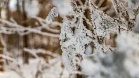 Jezioro Ślepieniec skąpane w zimowej bieli, luty 2021 - zdjęcie 29