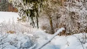 Jezioro Ślepieniec skąpane w zimowej bieli, luty 2021 - zdjęcie 49