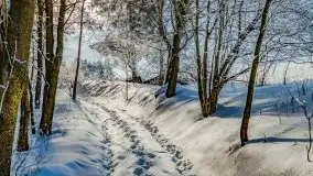 Jezioro Ślepieniec skąpane w zimowej bieli, luty 2021 - zdjęcie 17