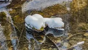 Jezioro Ślepieniec skąpane w zimowej bieli, luty 2021 - zdjęcie 30