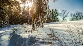 Jezioro Ślepieniec skąpane w zimowej bieli, luty 2021 - zdjęcie 28