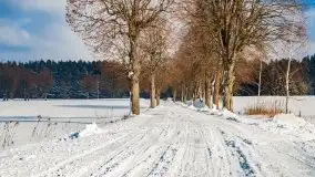 Jezioro Ślepieniec skąpane w zimowej bieli, luty 2021 - zdjęcie 57