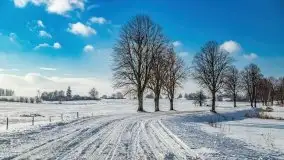 Jezioro Ślepieniec skąpane w zimowej bieli, luty 2021 - zdjęcie 45