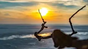 Zachód słońca nad jeziorem Niegocin, luty 2021 - zdjęcie 68