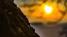 Zachód słońca nad jeziorem Niegocin, luty 2021 - zdjęcie 25