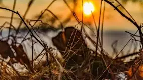 Zachód słońca nad jeziorem Niegocin, luty 2021 - zdjęcie 30