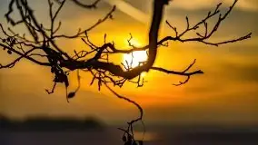 Zachód słońca nad jeziorem Niegocin, luty 2021 - zdjęcie 61