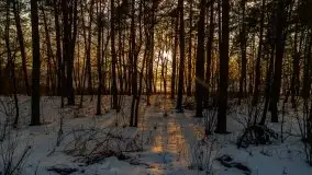 Zachód słońca nad jeziorem Kruklin, luty 2021 - zdjęcie 3