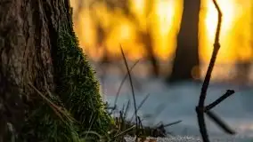 Zachód słońca nad jeziorem Kruklin, luty 2021 - zdjęcie 43