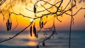 Zimowy zachód słońca nad jeziorem Śniardwy - zdjęcie 3