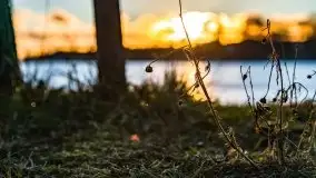 Zimowy wieczór i zachód słońca w Rynie, luty 2021 - zdjęcie 52