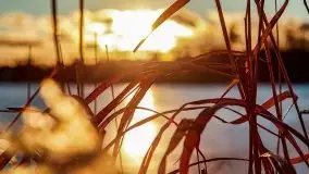 Zimowy wieczór i zachód słońca w Rynie, luty 2021 - zdjęcie 49