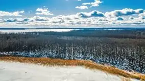 Szukamy wiosny - znajdujemy pierwsze oznaki - zdjęcie 48