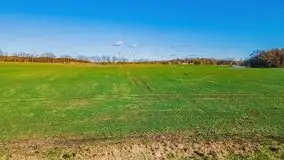 Szukamy wiosny - znajdujemy pierwsze oznaki - zdjęcie 54