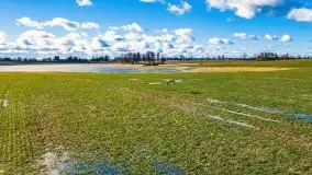 Szukamy wiosny - znajdujemy pierwsze oznaki - zdjęcie 1